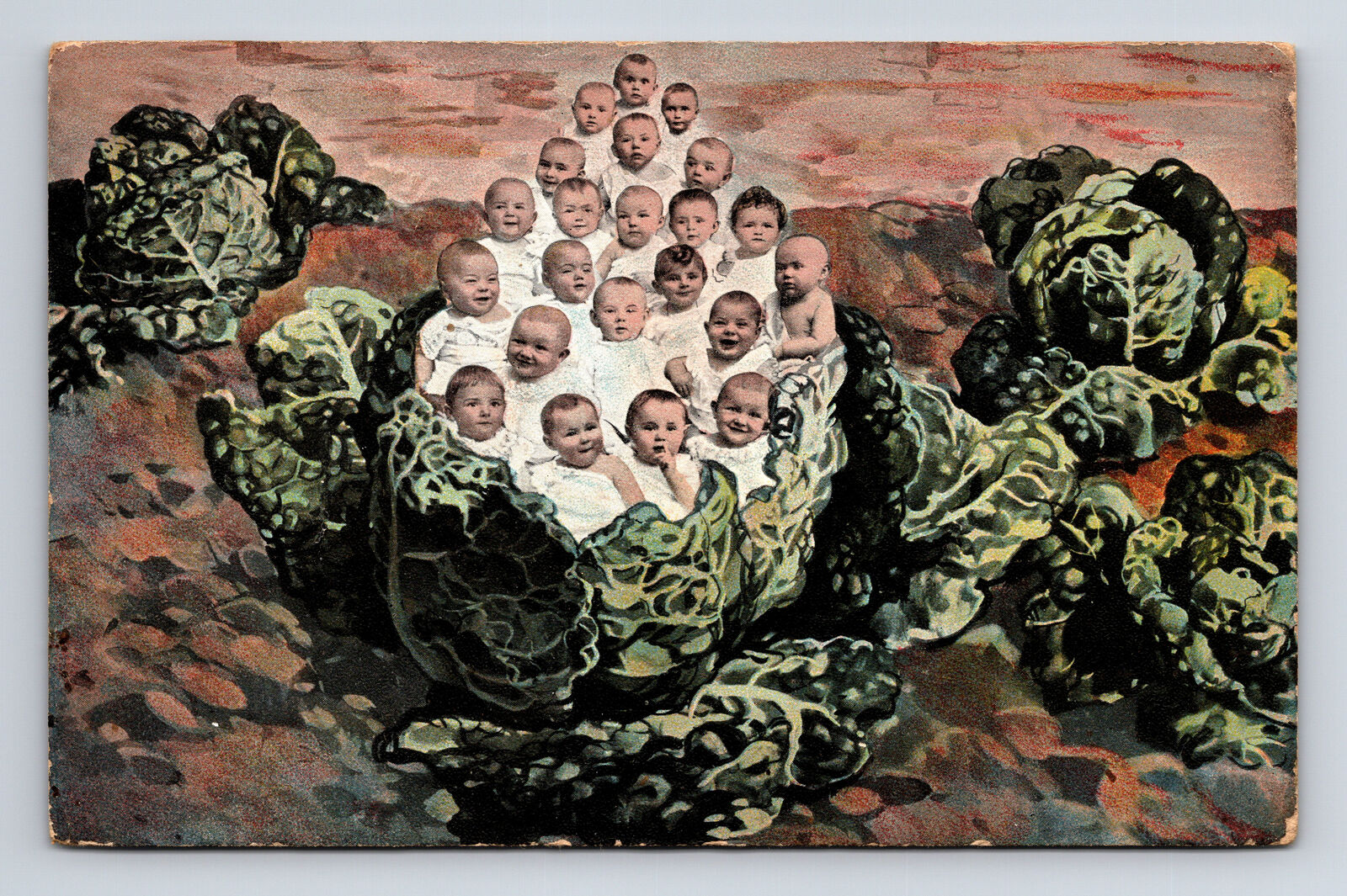1907 Babies in Cabbage Patch Plants Fantasy Coloma Michigan MI Postcard