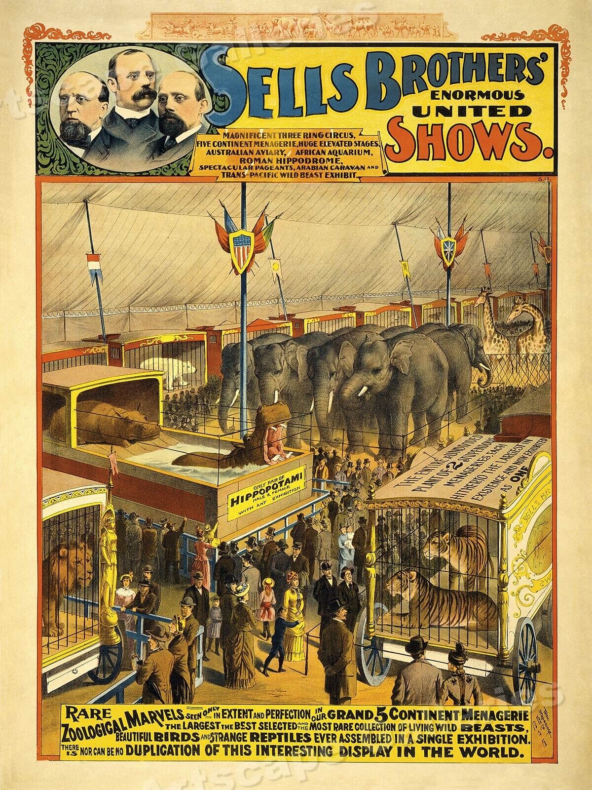 1895 Sells Brothers Shows Zoological Marvels Circus Poster - 24x32
