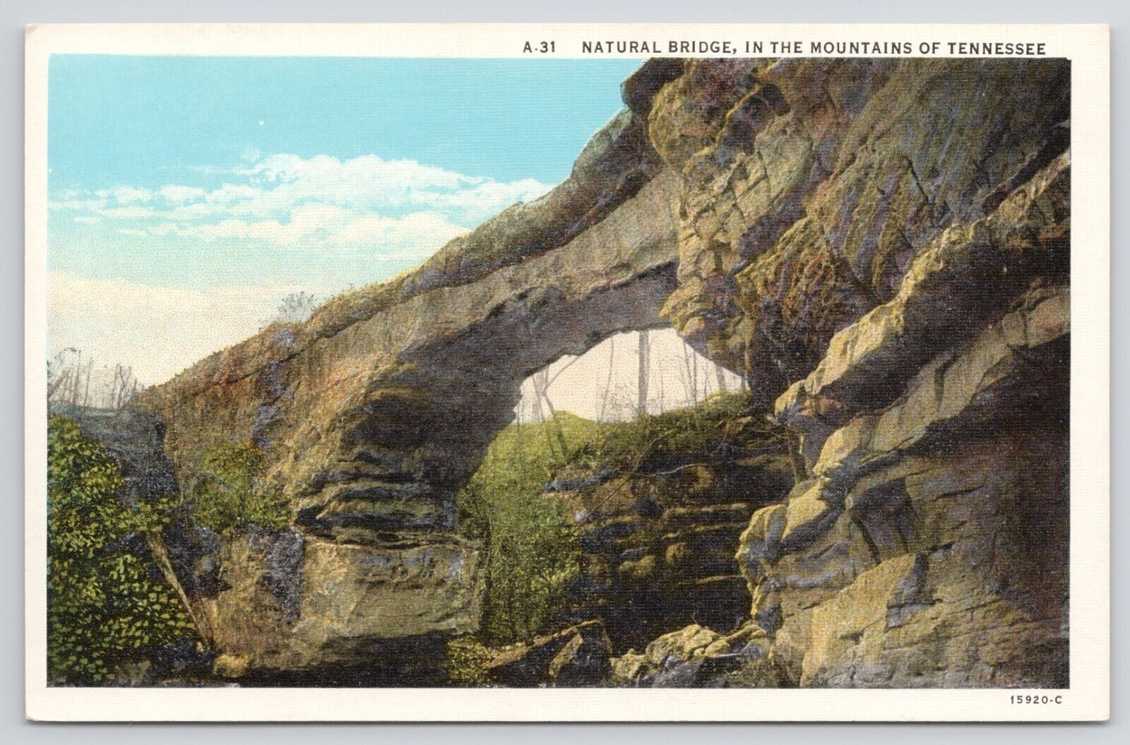 Mountains Of Tennessee Natural Bridge Linen Postcard