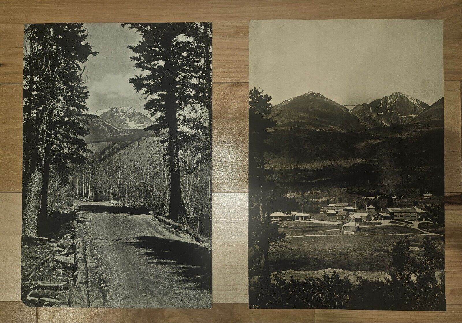 2 original 1914 W. T. Parke 9 x 13 photo prints of Estes Park & Mt. Ypsilon