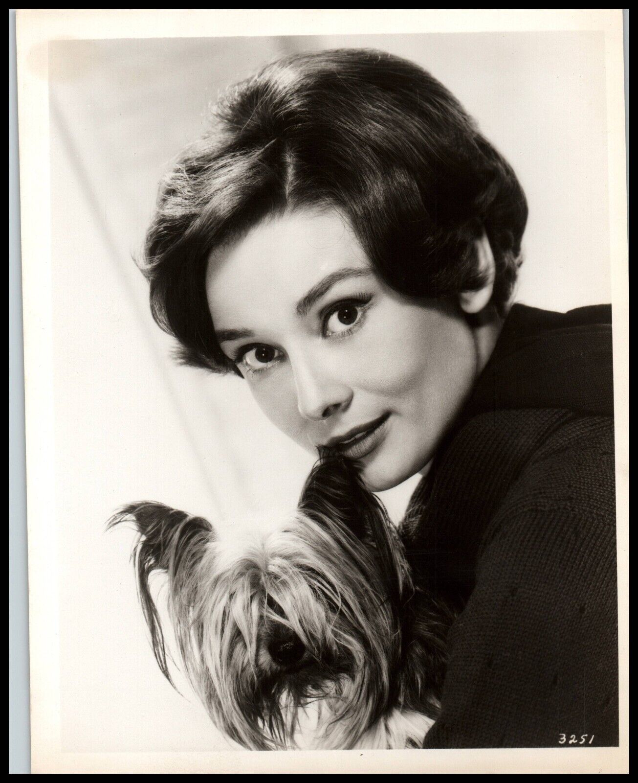 SUPERB AUDREY HEPBURN & HER YORKIE DOG 1958 NUN STORY ORIG PORTRAIT Photo 701