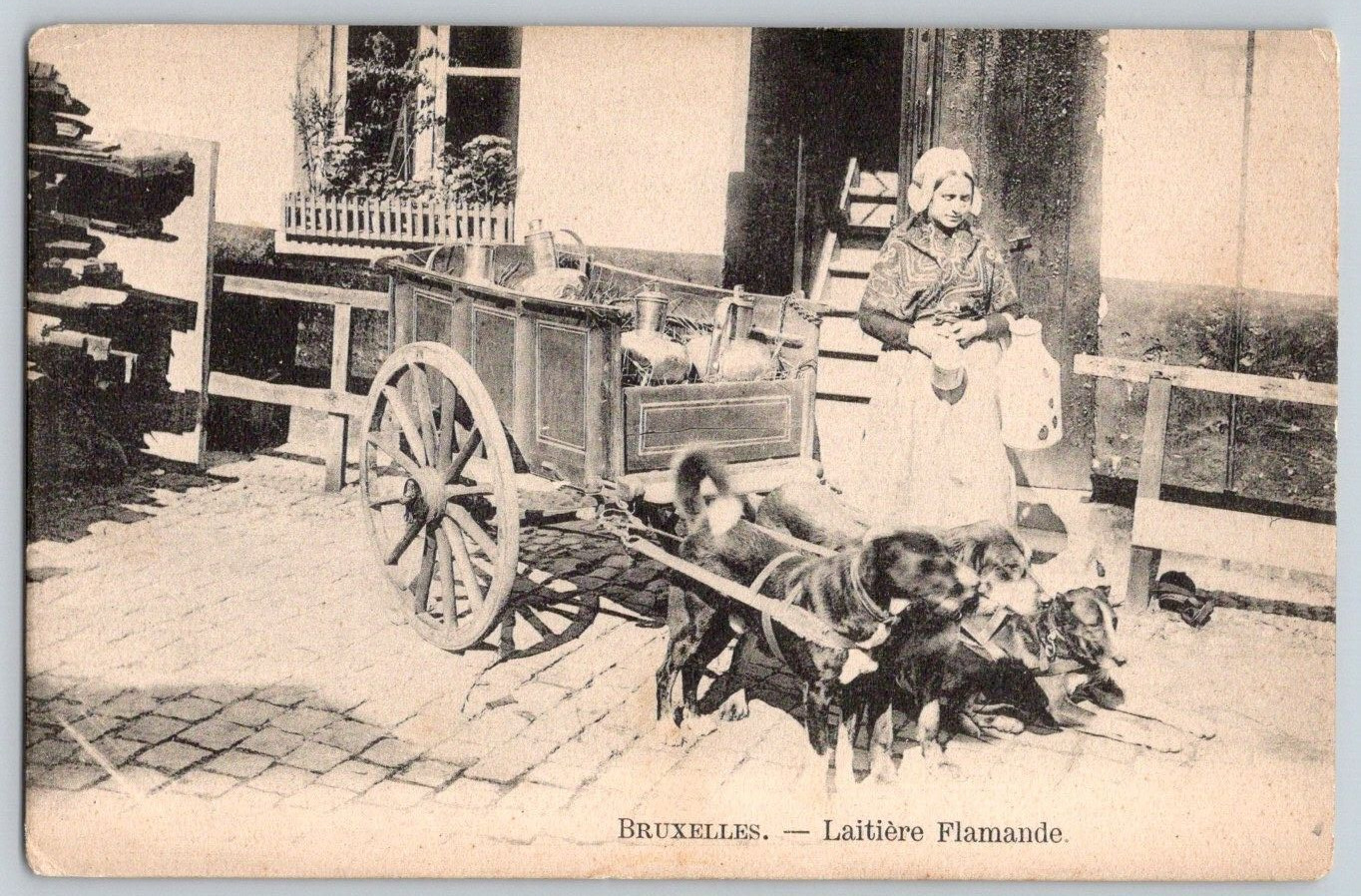 Antique Postcard~ Flemish Milkmaid~ Dog Pulled Cart~ Brussels, Belgium