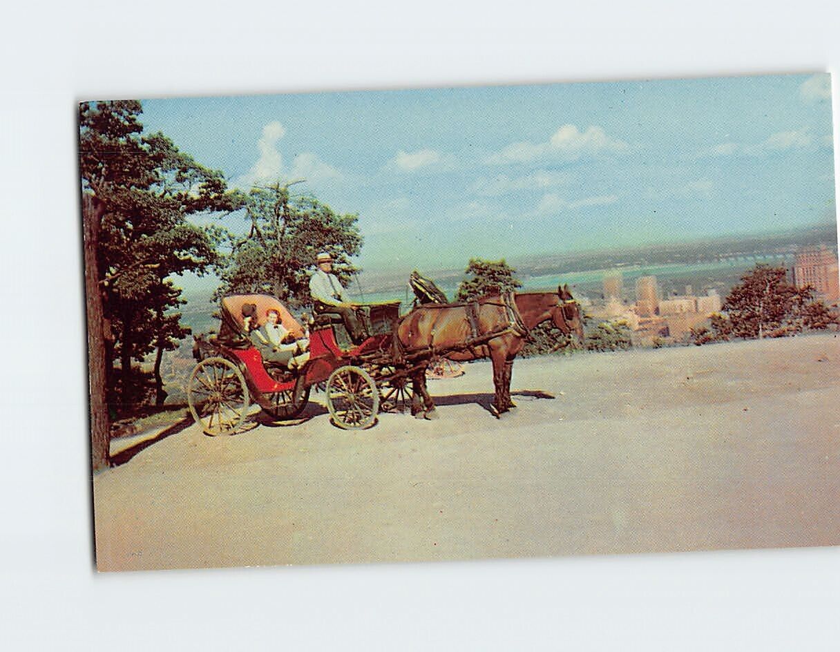 Postcard Old French Horsedrawn Carriage Mount Royal Montreal Canada