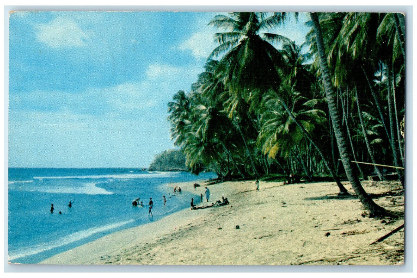 c1950's Mt. Irvine Bay Bathers Swim Greetings from Tobago BWI Postcard