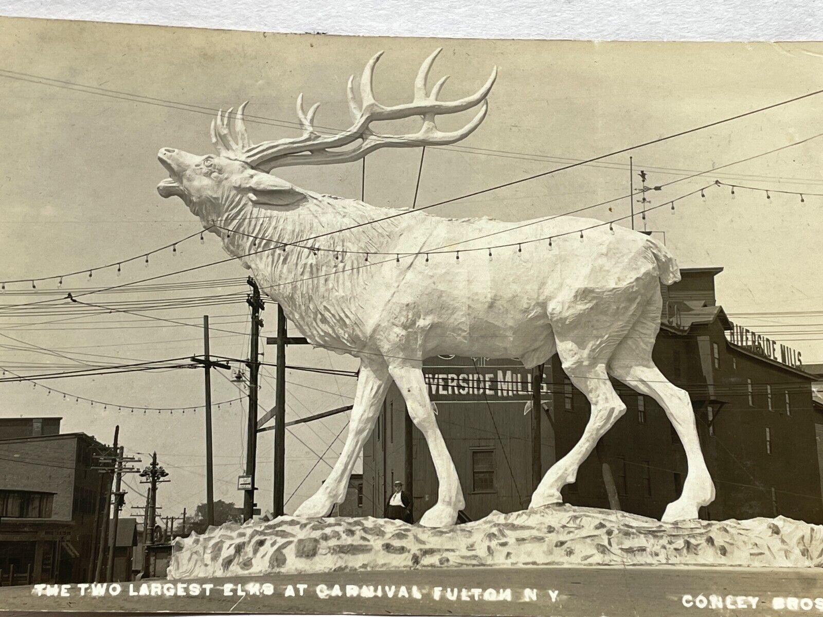 AZA RPPC Postcard Riverside Mills Elk Conley Bros Brothers 1920-30 Fulton NY