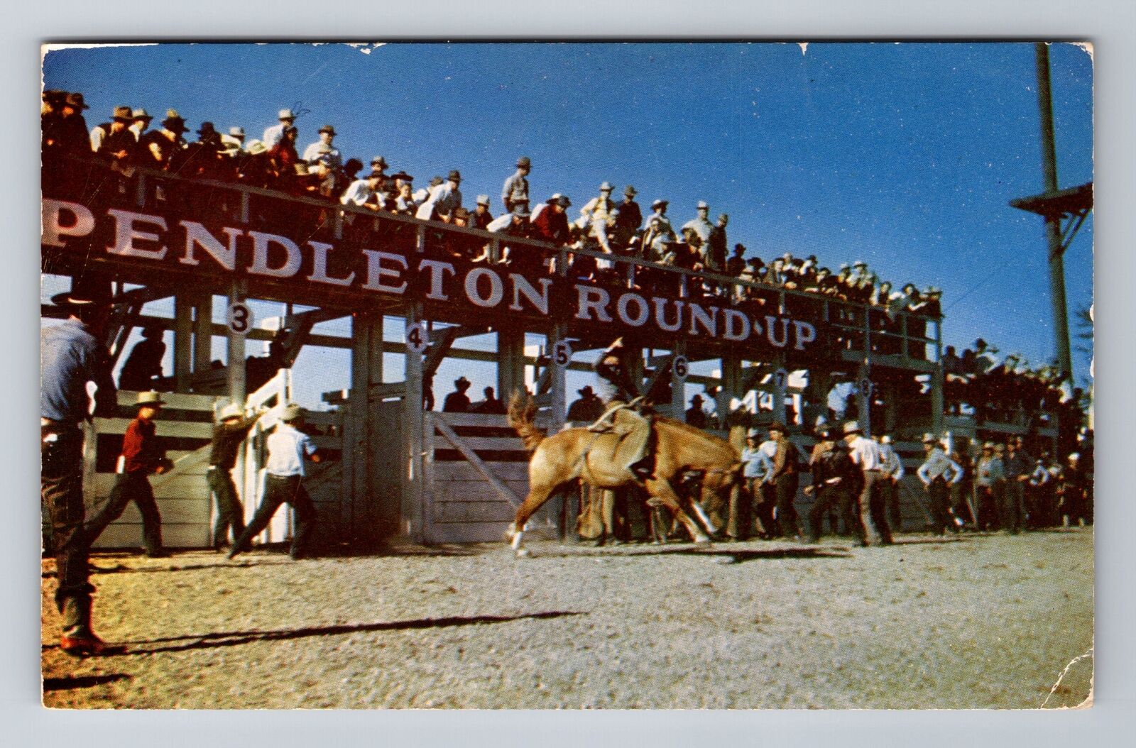 Pendleton OR-Oregon, Pendleton Roundup, Rodeo, Vintage Souvenir Postcard