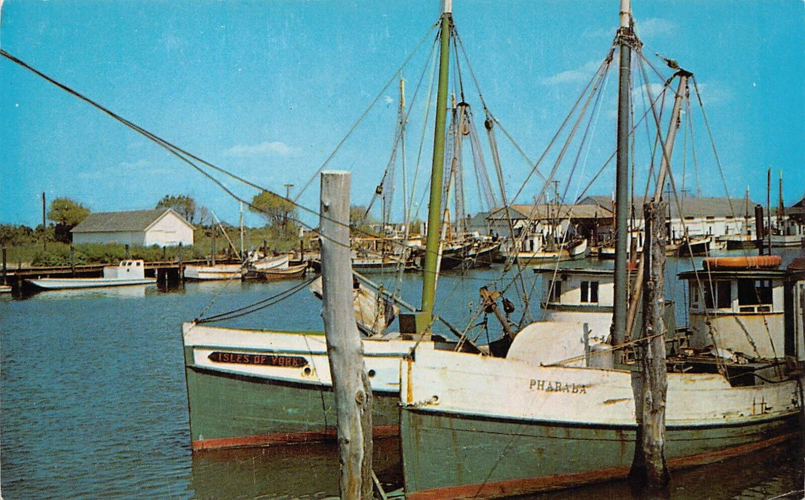 Ocean City Maryland Harbor Salt Water Fishing Trout Flounder Porgy Postcard T6