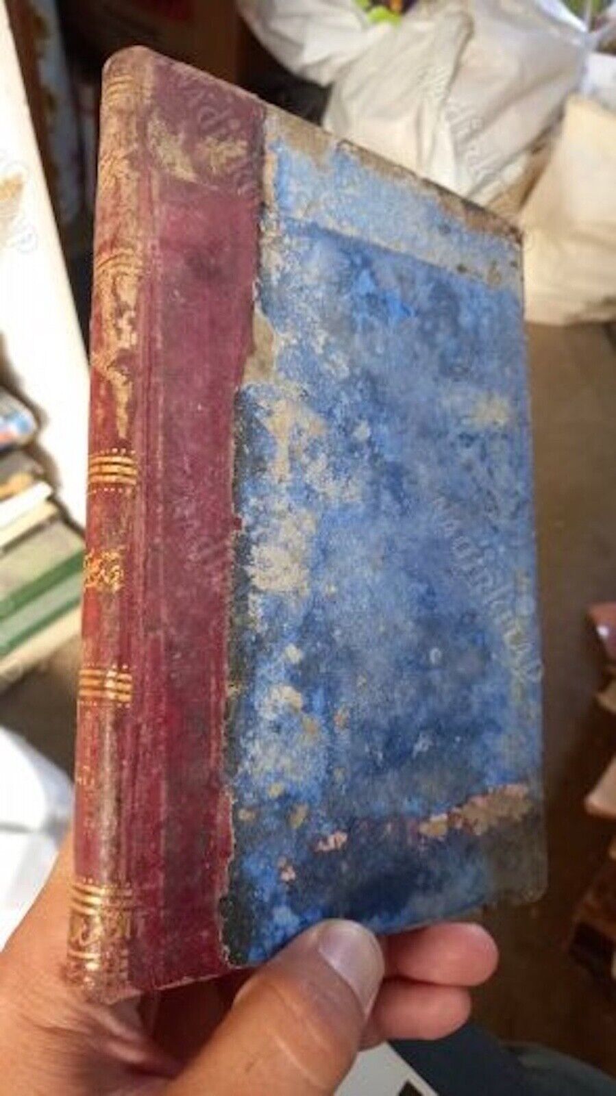 ANTIQUE GREEK BOOK 100+ years old  1882