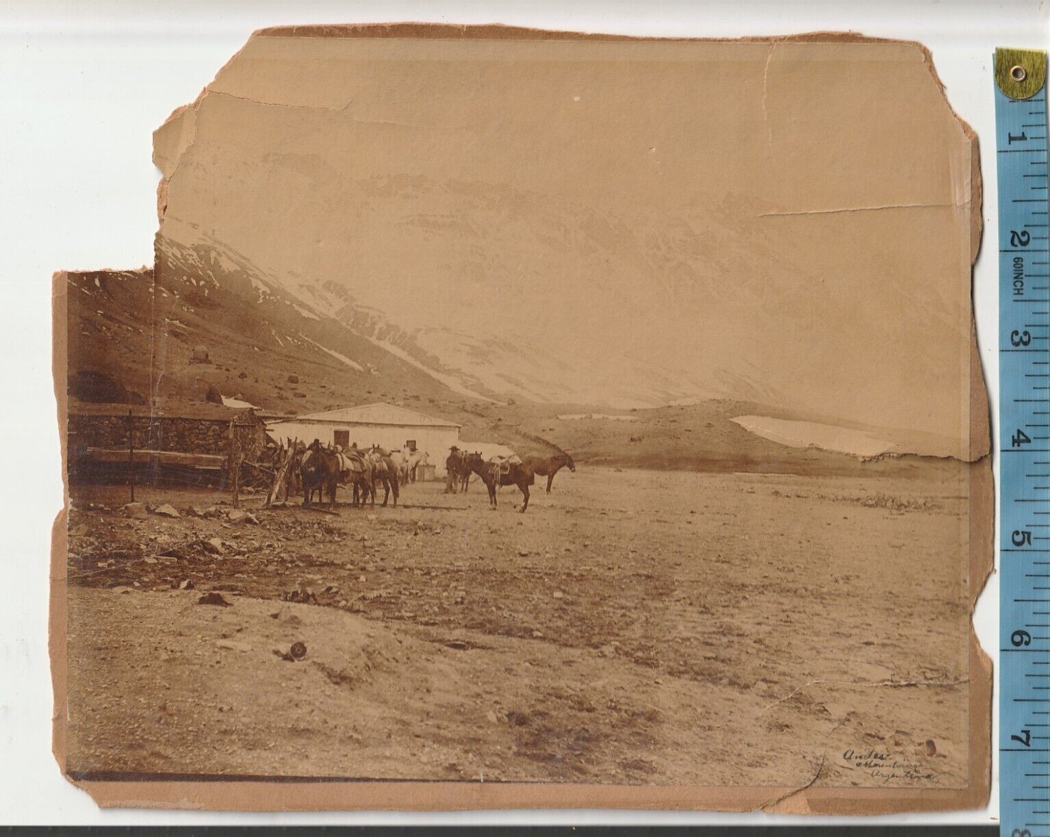 Antique 1880-1920s Cabinet photo Andes Mountains Argentina Cowboys horses cabin