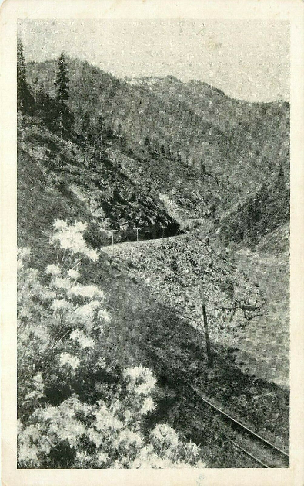 Western Pacific Railroad Feather River Country California CA Postcard