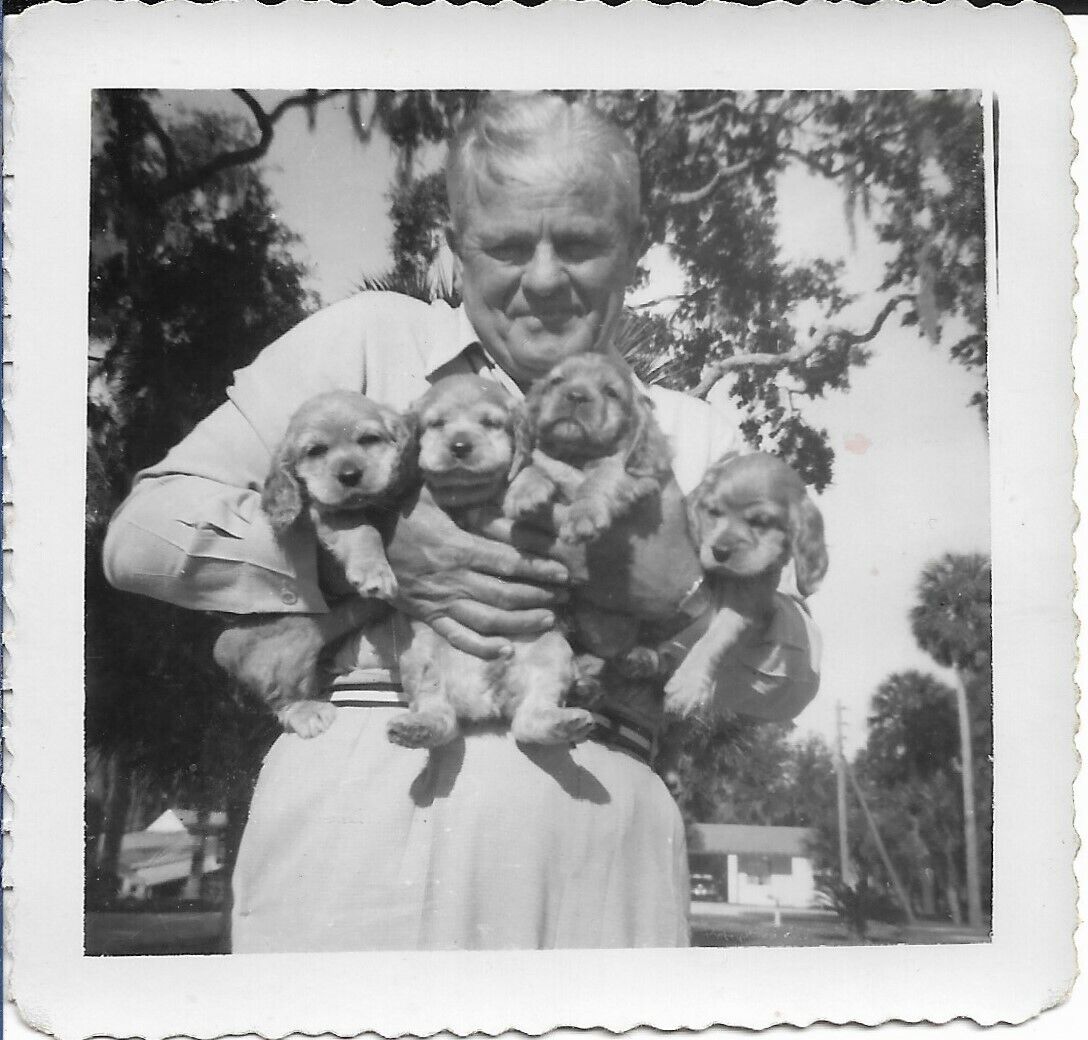 Man With Puppies Photograph Florida Outdoors 1950s Vintage Cute 3 1/2 x 3 1/2