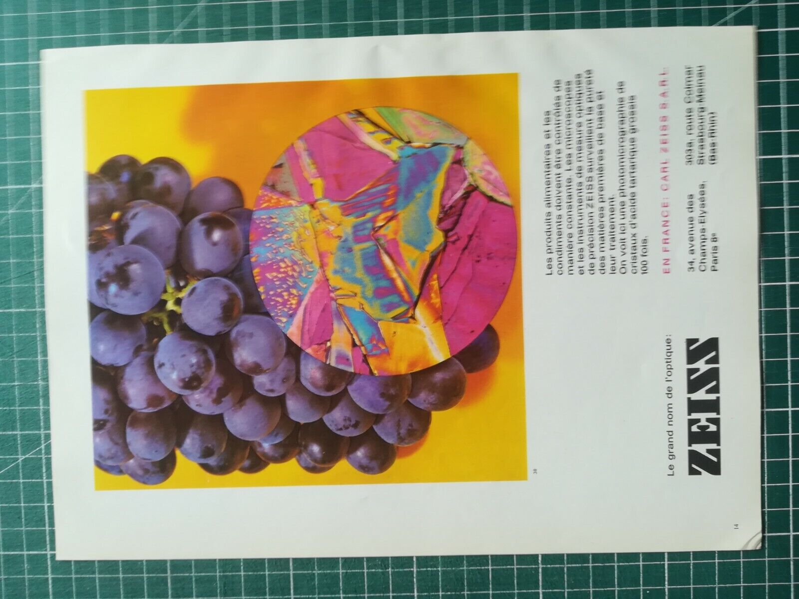 1087 Advertising circa 1960 Zeiss Grape Cluster Microscopes