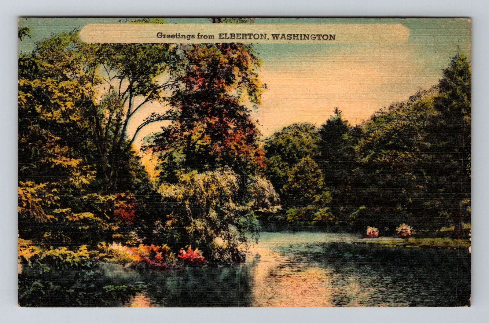 Elberton WA-Washington, General Greetings, River View c1946 Vintage Postcard