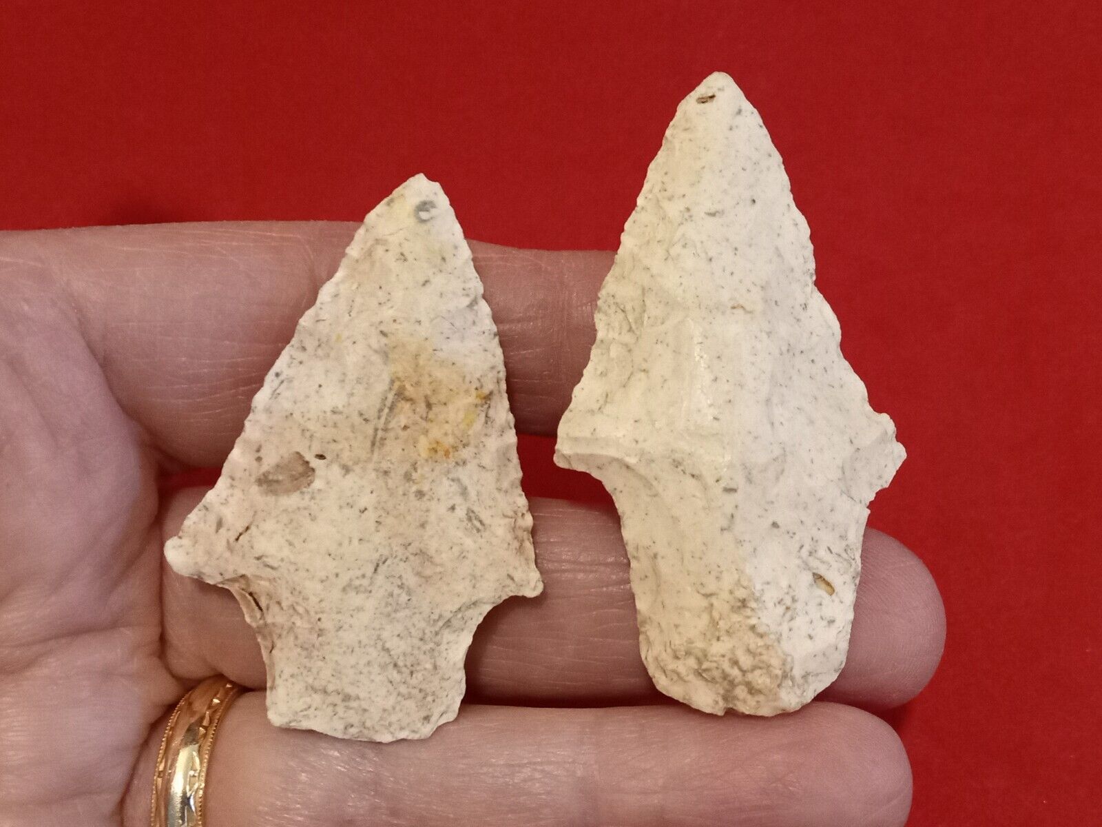 TWO AUTHENTIC GEORGIA POINTS - ADENA AND KIRK STEMMED - BOTH LAND FINDS