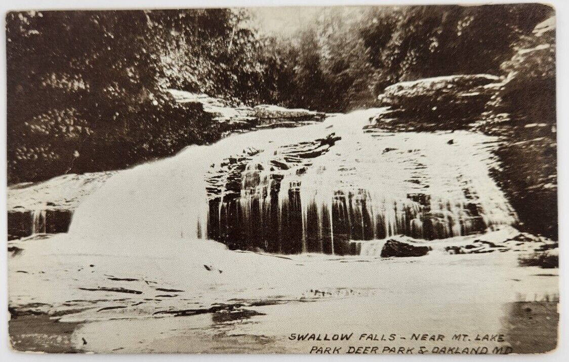 Swallow Falls Near Mt Lake Park Deer Park c1910 Oakland Maryland MD Vtg Postcard