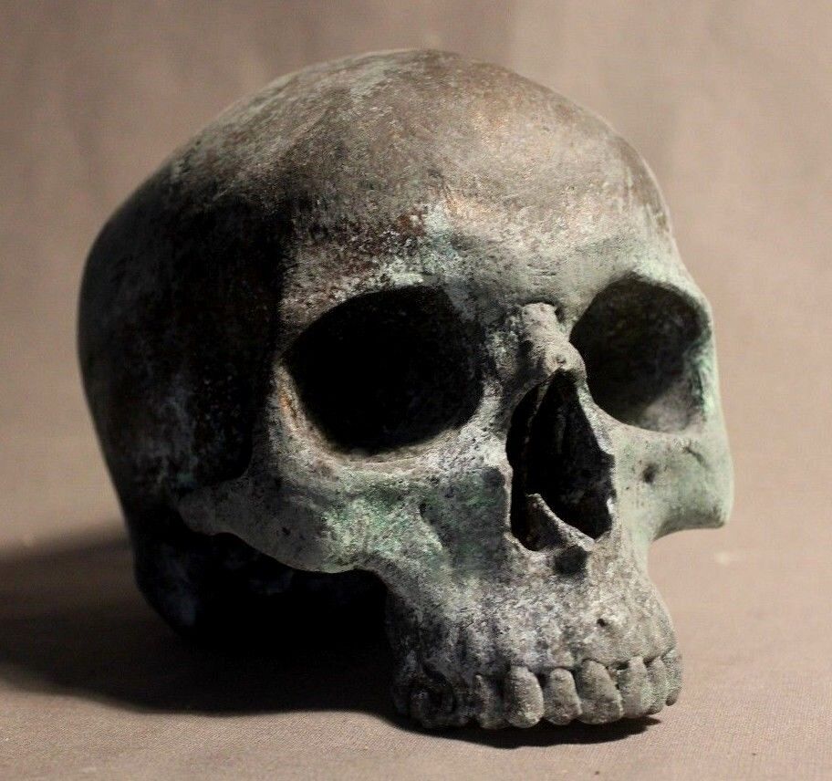 Human Skull Anatomical Medical Death Oddity Theater Doctor Funeral Postmortem