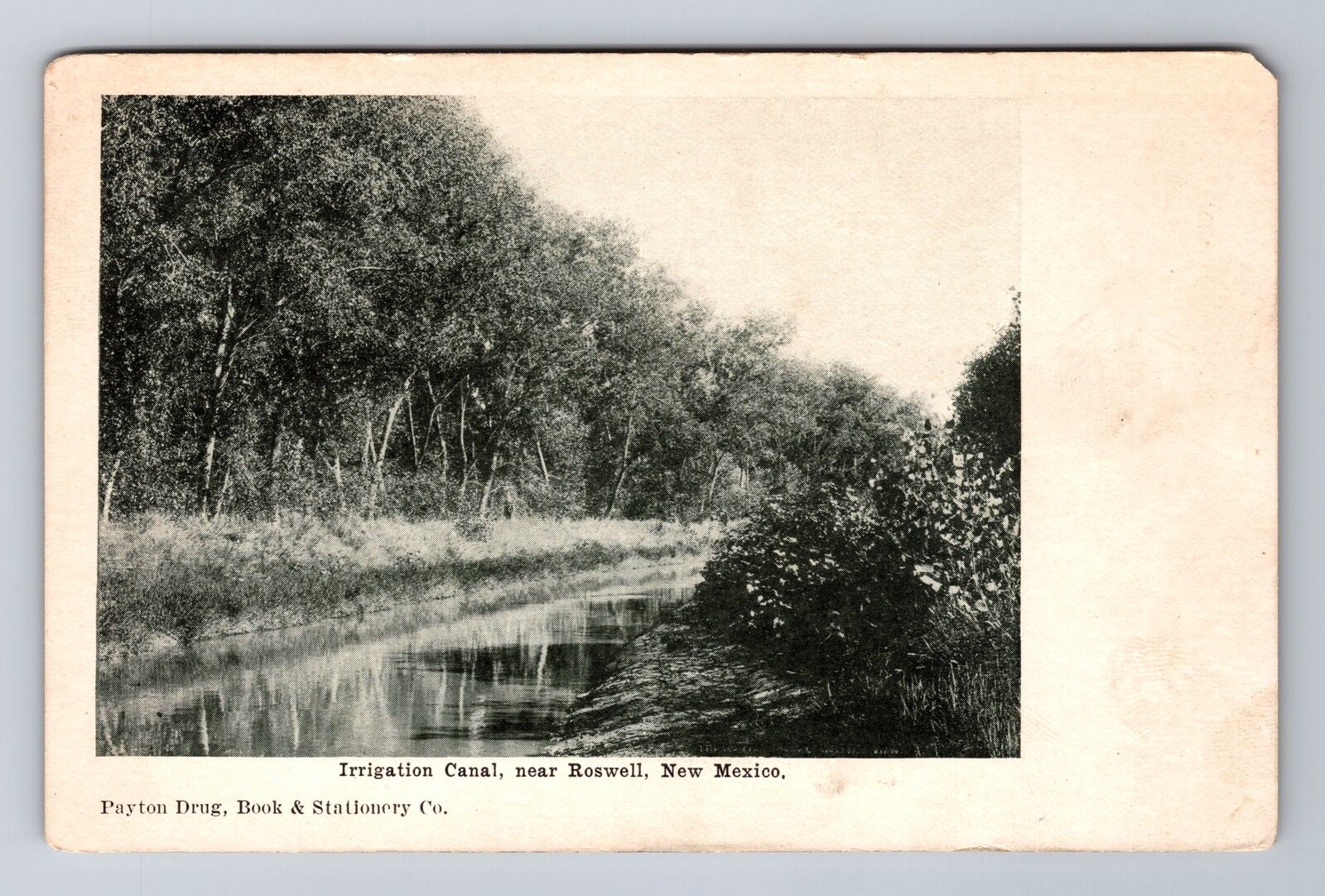 Roswell NM-New Mexico, Irrigation Canal, Antique, Vintage Souvenir Postcard