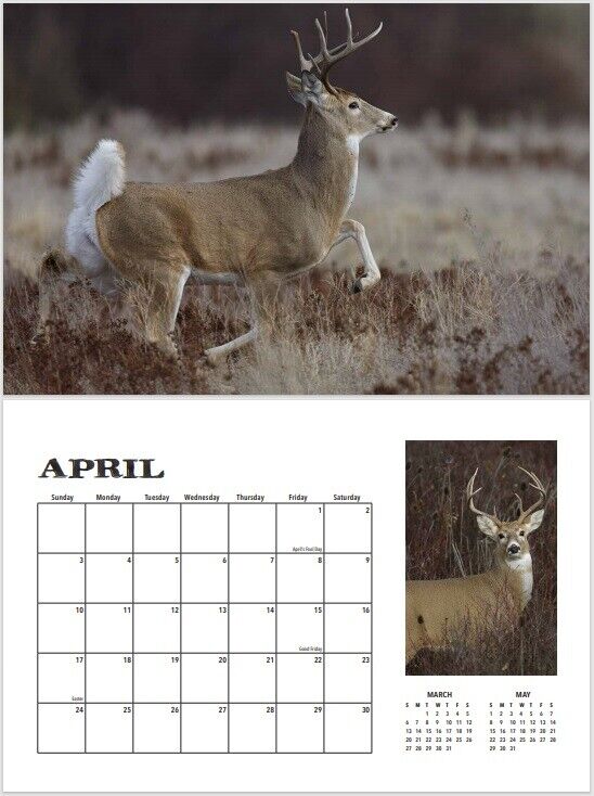 Whitetail Deer 2022 Buck Fever Wall Calendar FREE PRIORITY MAIL SHIPPING
