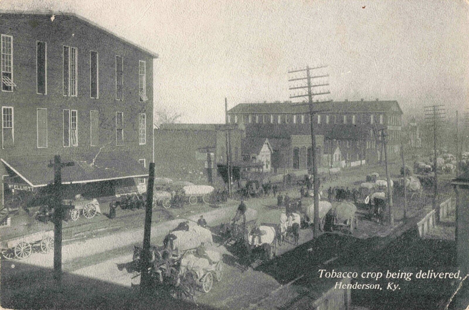 Tobacco Crop Being Delivered Henderson Kentucky KY 1908 Postcard