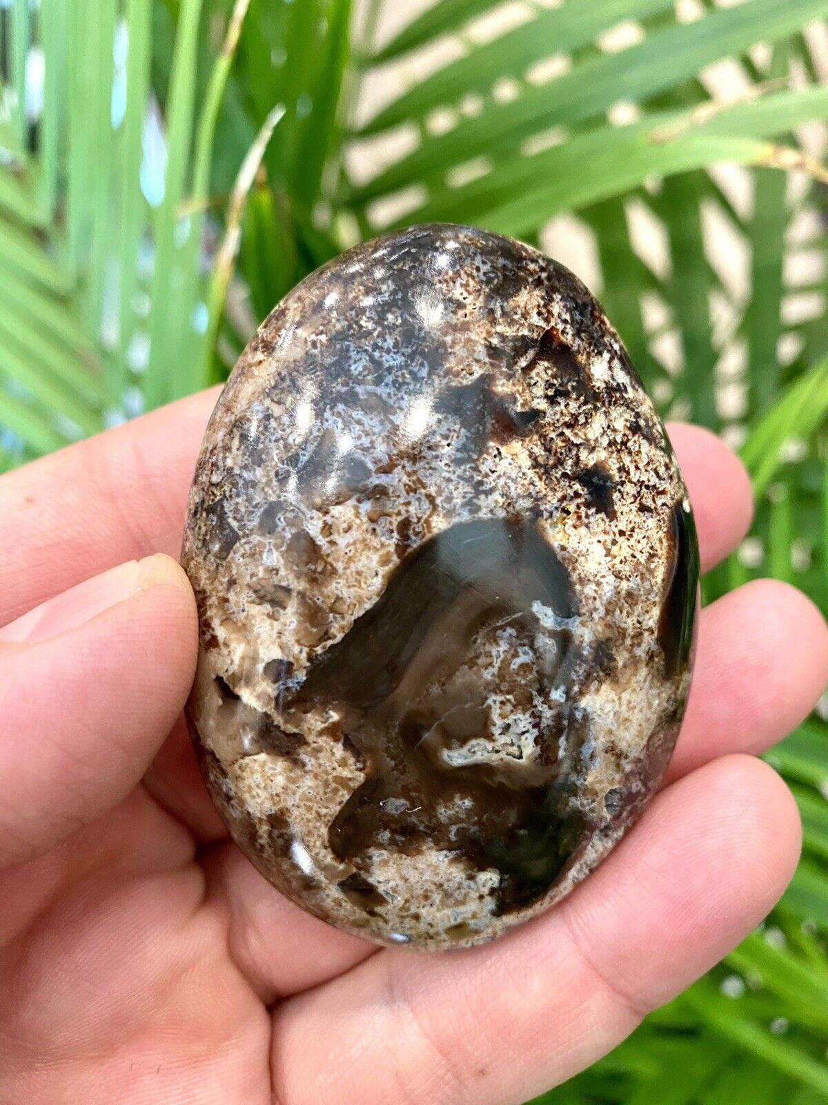 Black Opal Rock Healing Crystals Yoga Reiki Meditation Palm Stone 3x2\