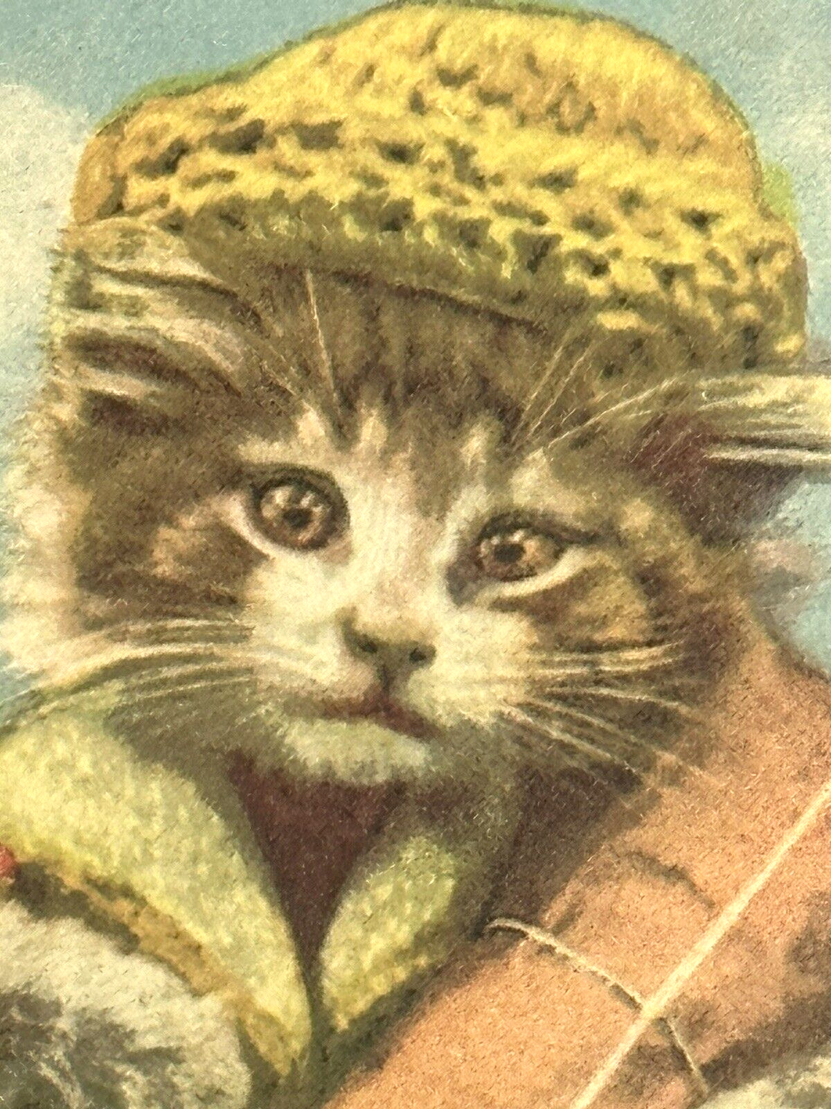Cat Postcard Dressed Anthropomorphic Shopper Package Bag Switzerland C.1952 u/s