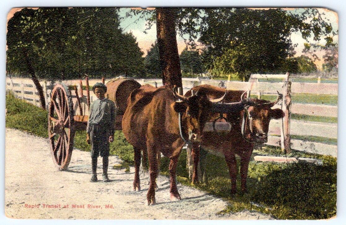 1909 WEST RIVER MARYLAND RAPID TRANSIT BOY WITH OXEN CART GALLOWAYS MD POSTMARK