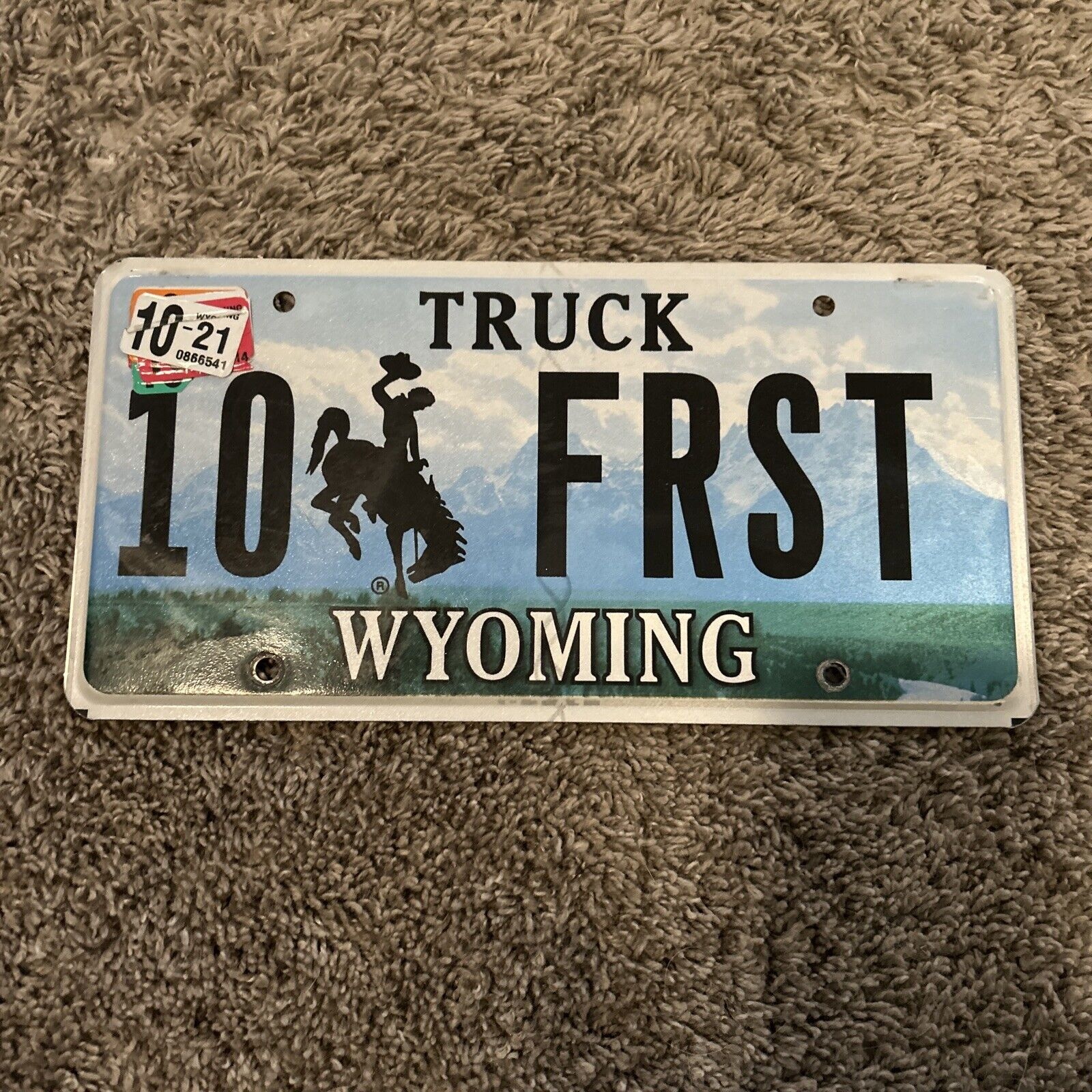 Wyoming Vintage License Plate Embossed Bucking Horse Steamboat 10 FRST