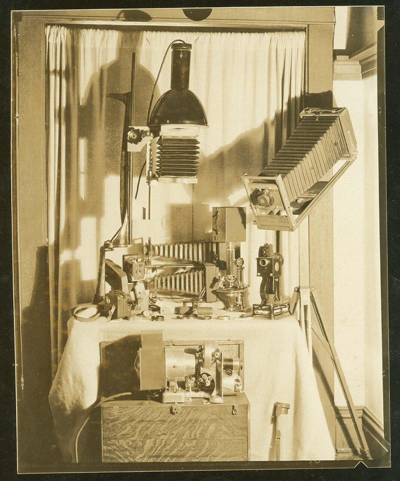 G1572* c.1930s Camera Display Photo-Kodak Vest Pocket Brownie Pathe Korona, More