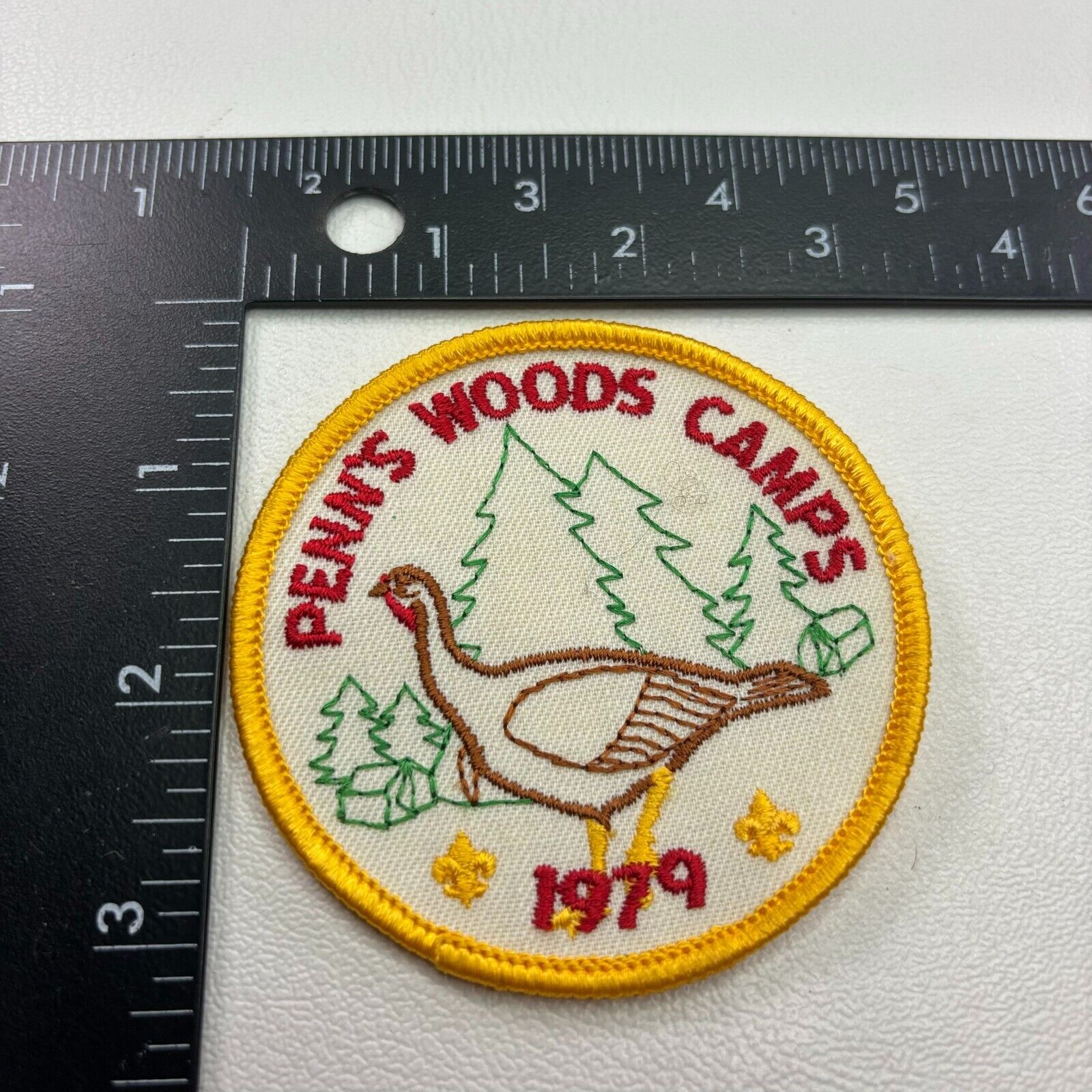 VINTAGE 1979 PENN'S WOODS CAMPS Boy Scouts Patch C39C