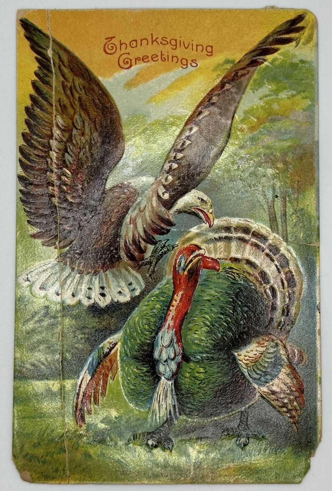 Antique 1909 Thanksgiving Greetings Postcard Eagle Attacking Turkey 
