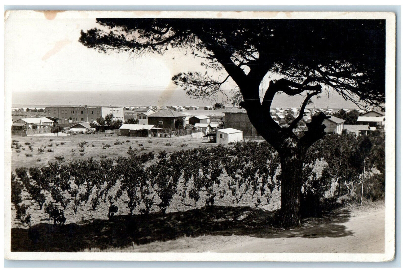 c1940\'s General View Casino in Left St Pierre Beach Canada RPPC Photo Postcard