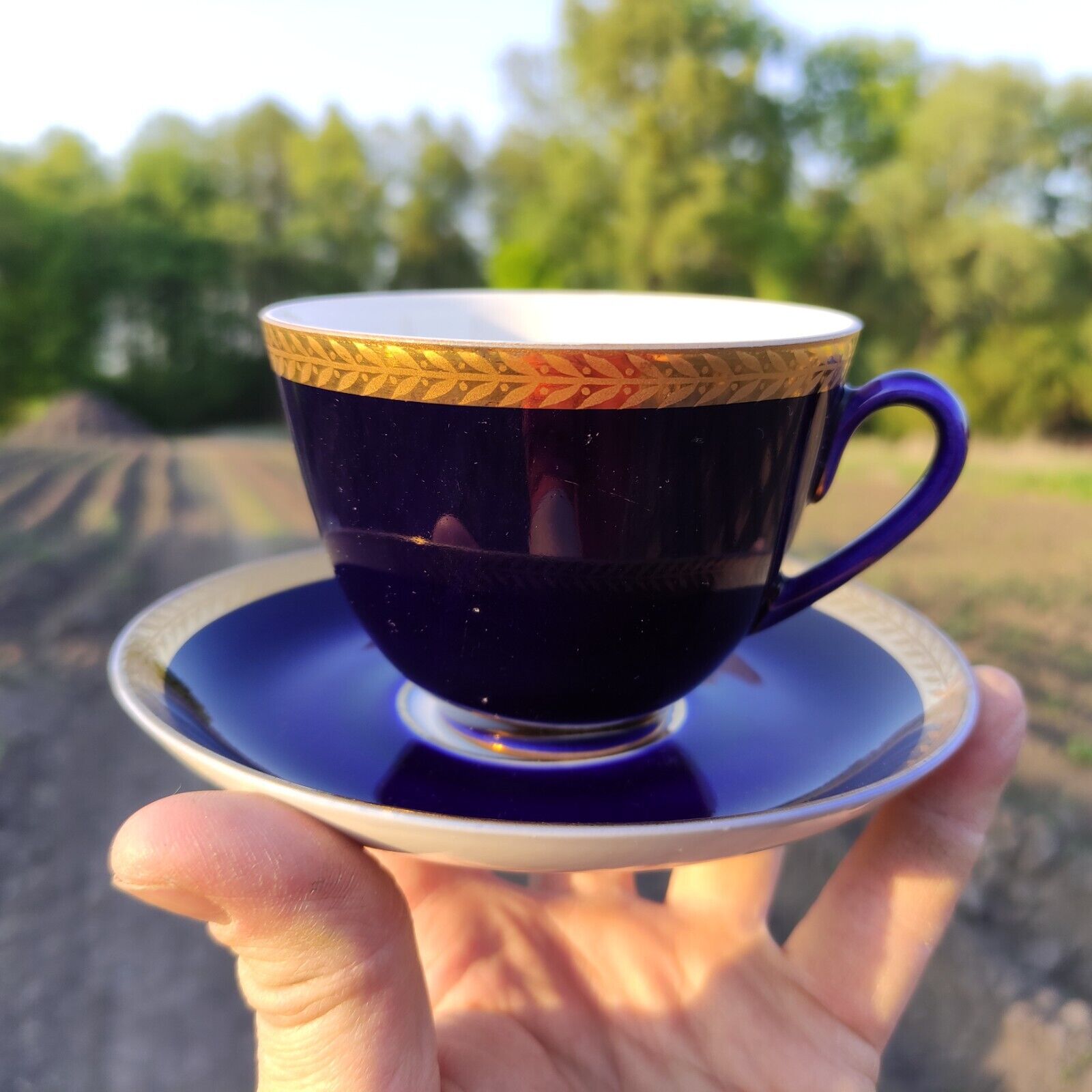 Vintage Lomonosov Porcelain Tea Cup Saucer LFZ cobalt blue gold Pattern Coffee