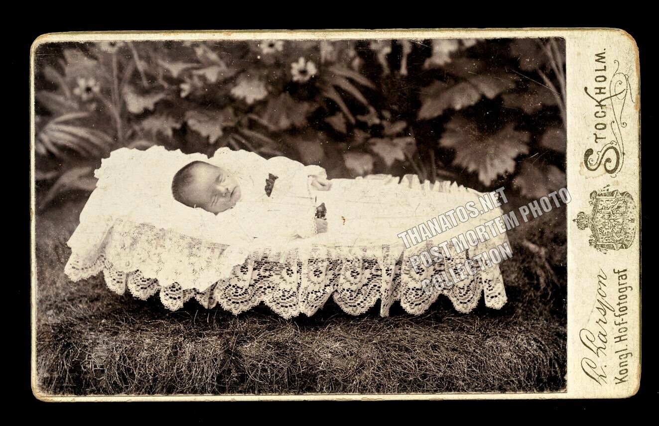 Outdoor Postmortem CDV Photo of Tiny Baby in Coffin Sweden 1800s