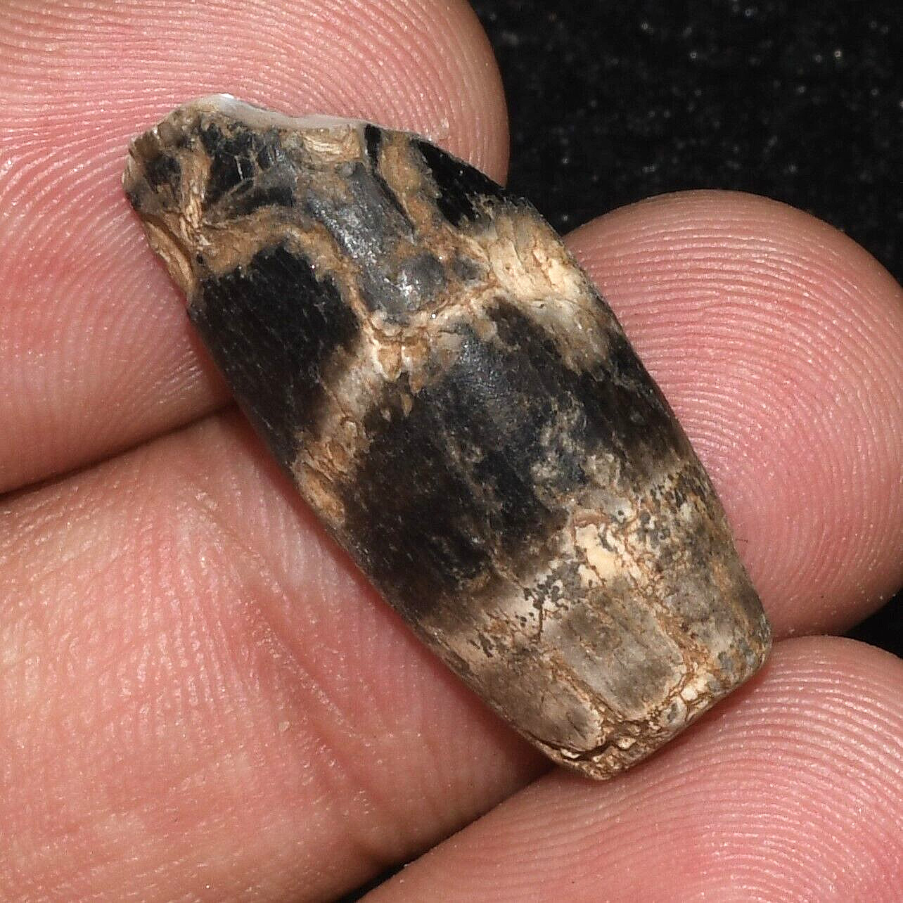 Authentic Large Ancient Etched Agate Longevity Dzi Bead Fragment from Tibet