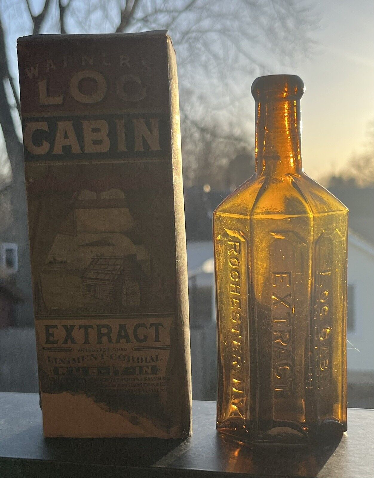 WARNER\'S LOG CABIN EXTRACT ROCHESTER NY BOTTLE 1887 3 SIDED WITH BOX