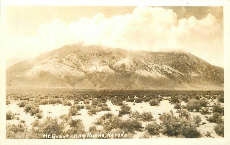 Nevada Hawthorne Mt Grant 1940s RPPC Photo Postcard 22-1421