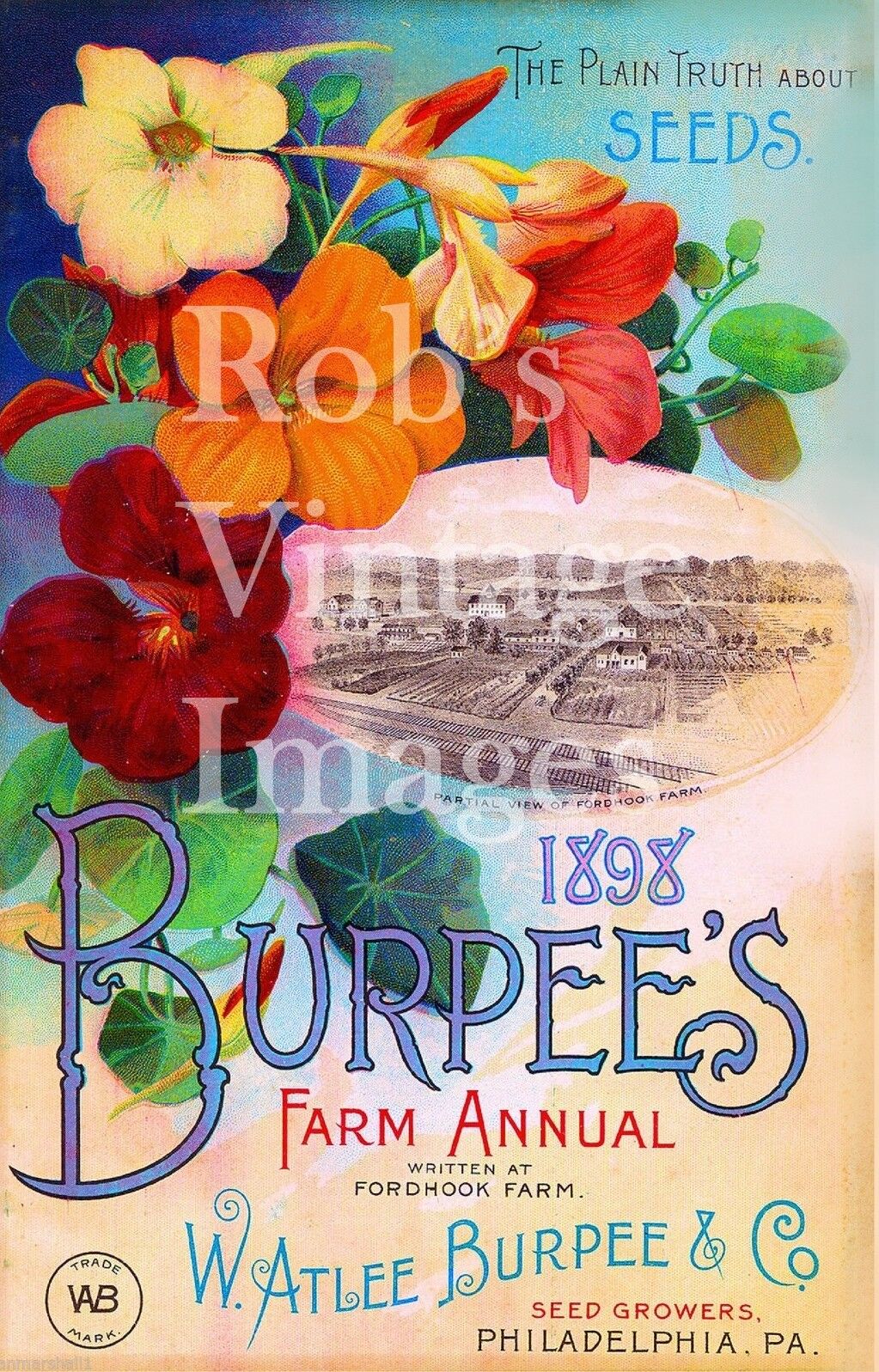 1898 Burpees Vintage Farm Ann  Garden Flower  Seed  Catalogue Poster Art Print 