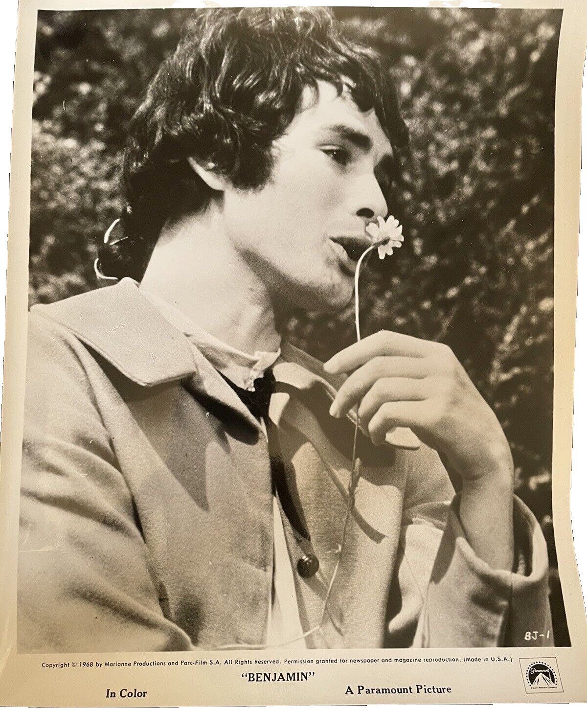 Pierre Clementi  Benjamin Movie Press Photo 1968 French Actor Paramount Pictures