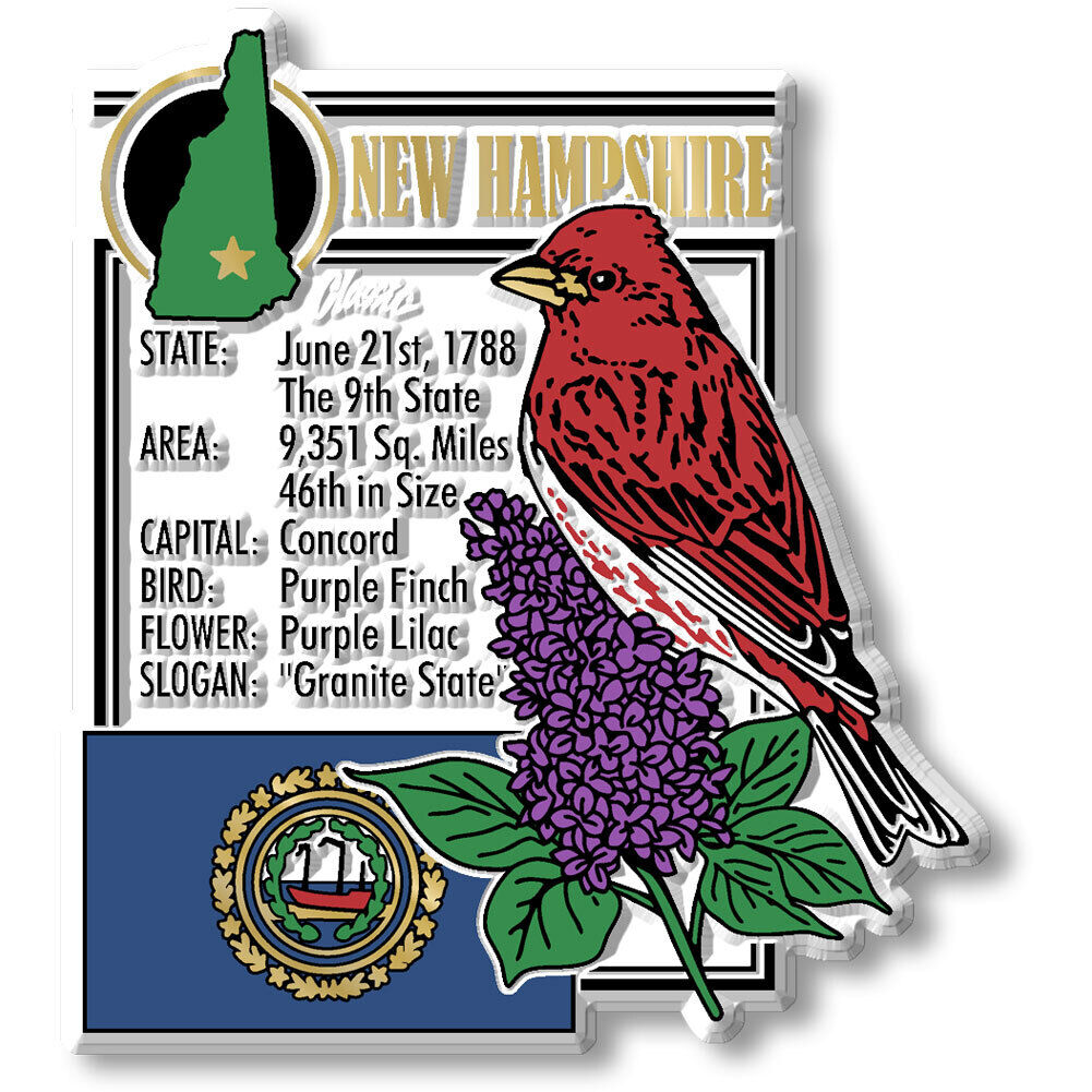 New Hampshire State Montage Magnet by Classic Magnets, 3\