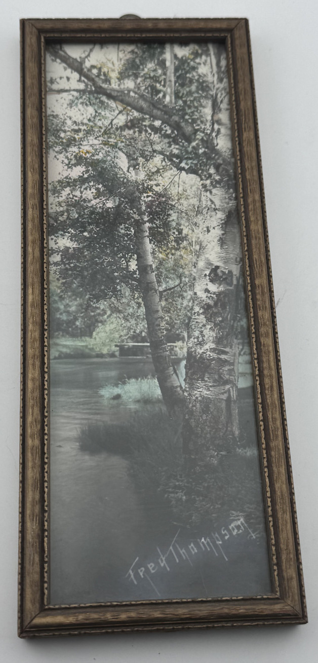 Hand Colored Photo Fred Thompson river And Birch  trees Photograph Signed Maine