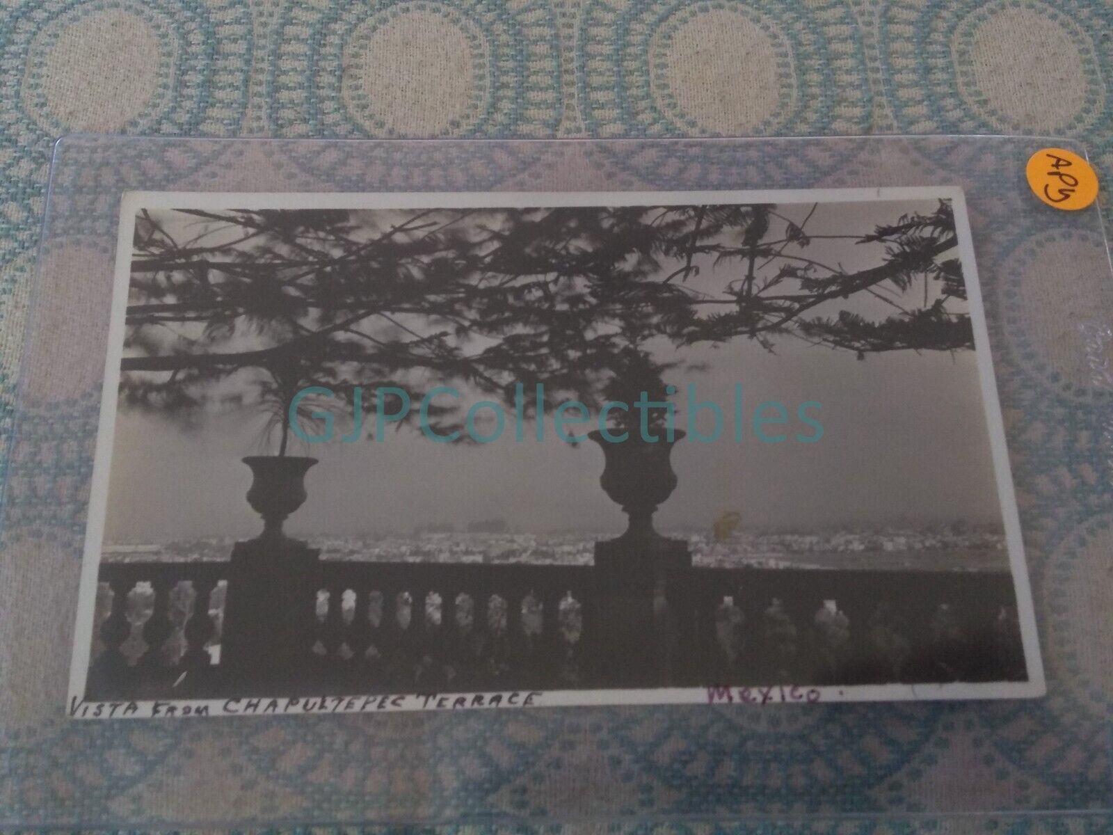 APY VINTAGE PHOTOGRAPH Spencer Lionel Adams VISTA FROM CHAPULTEPEC TERRACE