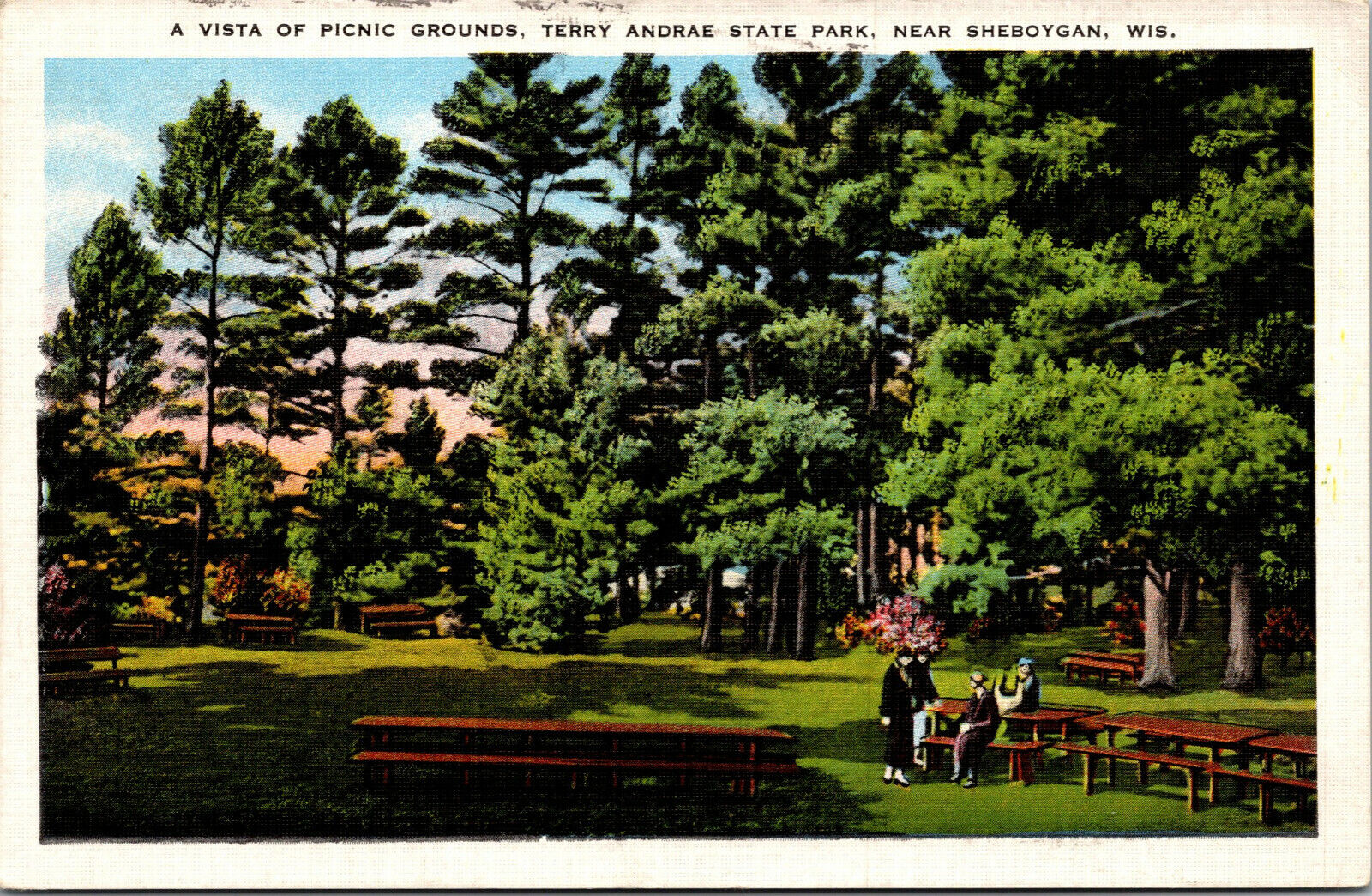 Vtg 1930s Picnic Grounds Terry Andrae State Park Sheboygan Wisconsin WI Postcard