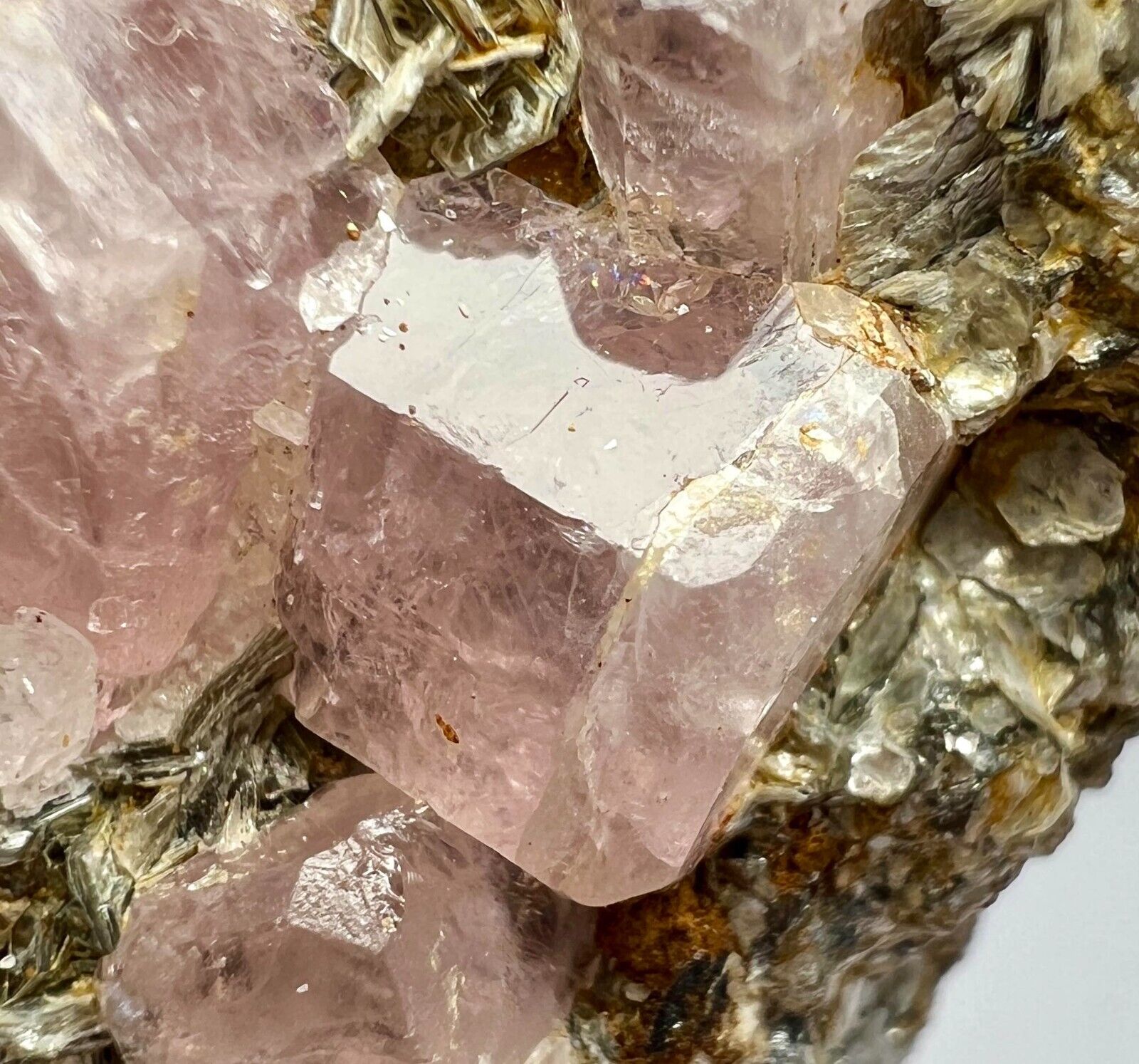 197 Gram Rare Fluorescent Pinkish Apatite Crystals Bunches On Muscovite @Pak
