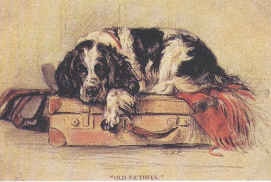 English Springer Spaniel - CUSTOM MATTED - Dog Art Print - Lucy Dawson NEW