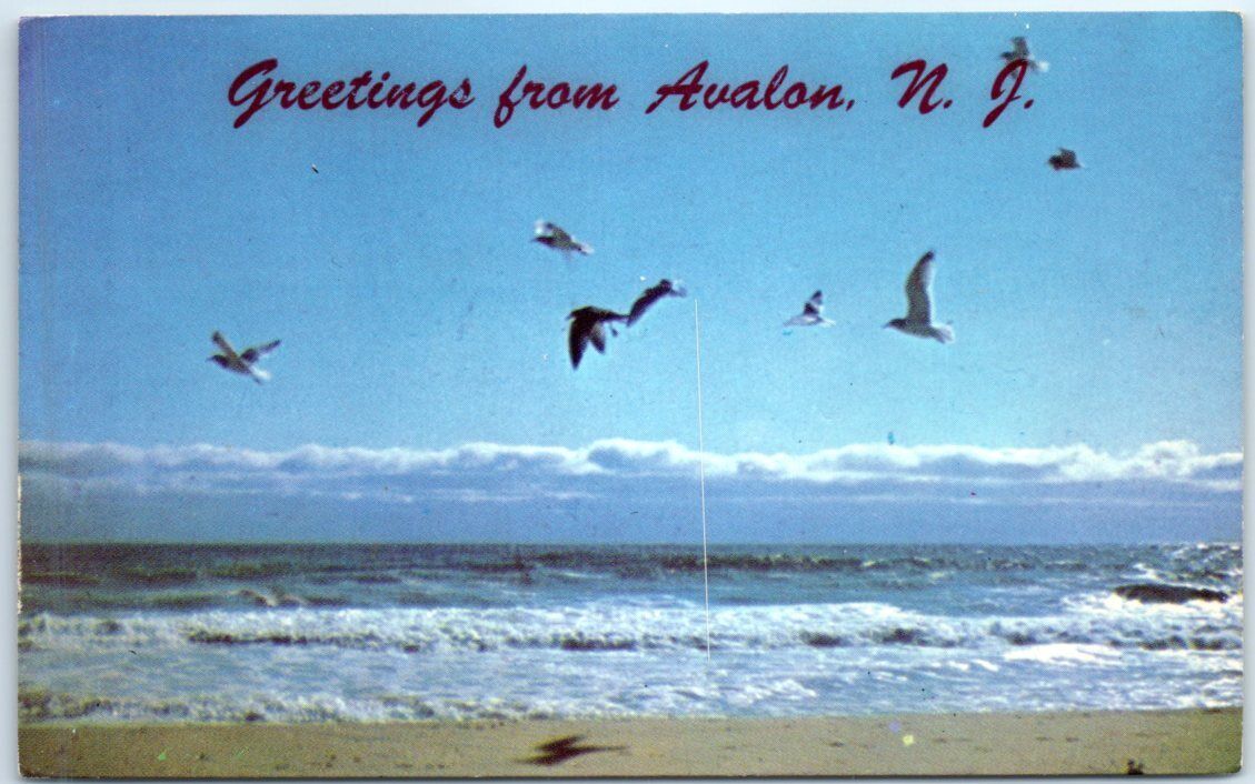 Postcard - Greetings from Avalon, New Jersey