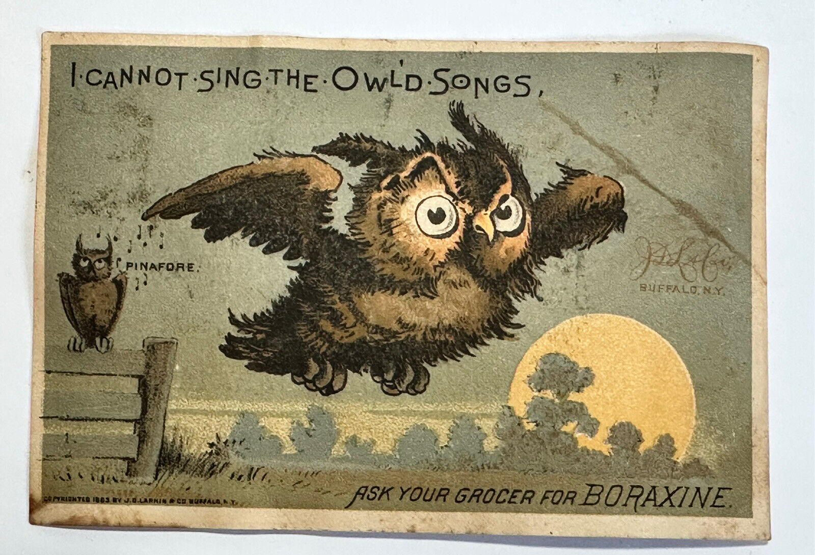 VICTORIAN TRADE CARD BORAXINE OWL SAVES TOIL & DRUDGERY BUFFALO 1883 A92