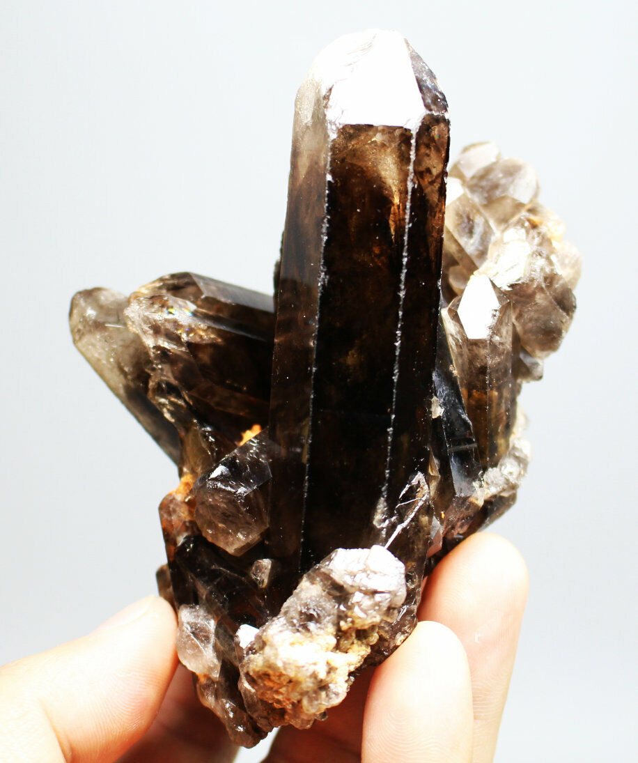 Natural Rare Beautiful Black QUARTZ Crystal Cluster Mineral Specimen