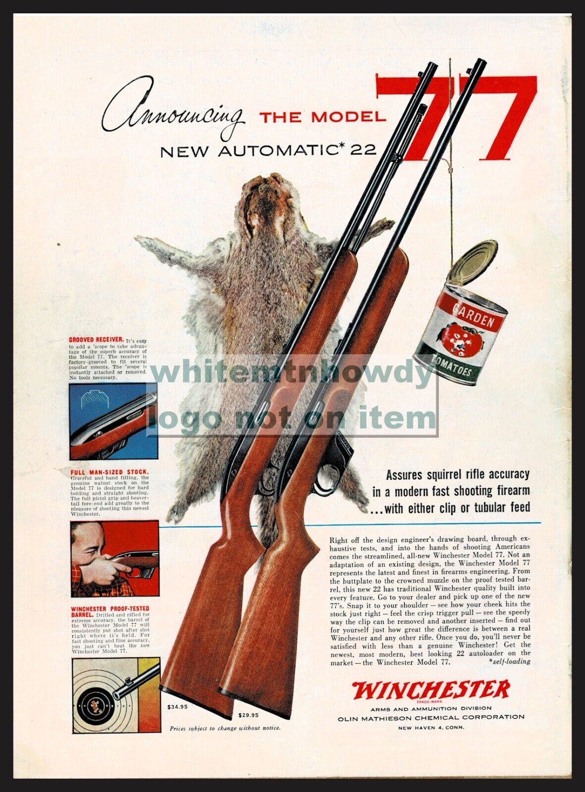1955 WINCHESTER Model 77 Auto .22 Clip~Tubular Rifle PRINT AD Squirrel Hunting
