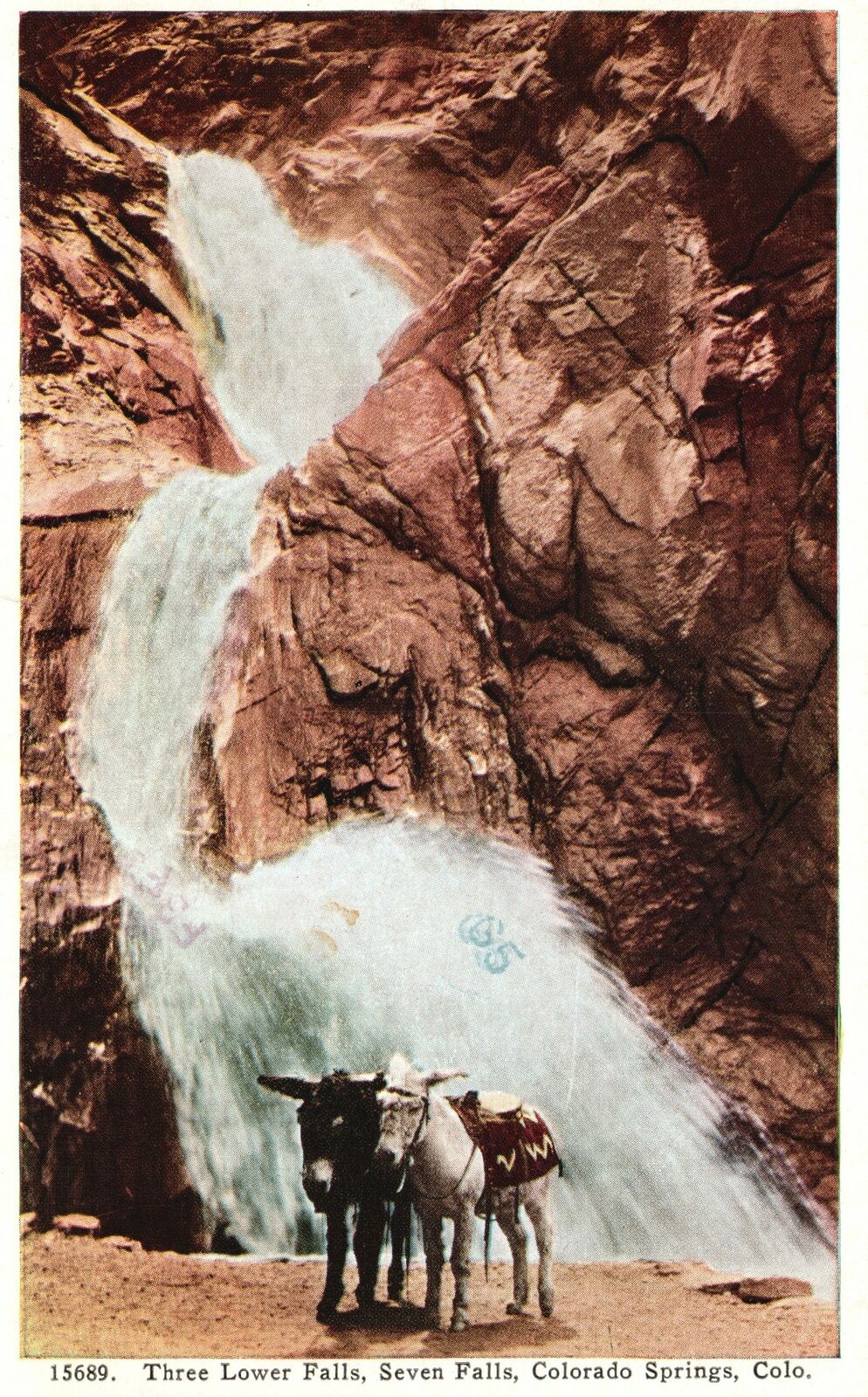 Vintage Postcard 1992 Donkeys Three Lower Falls Seven Falls Colorado Springs CO