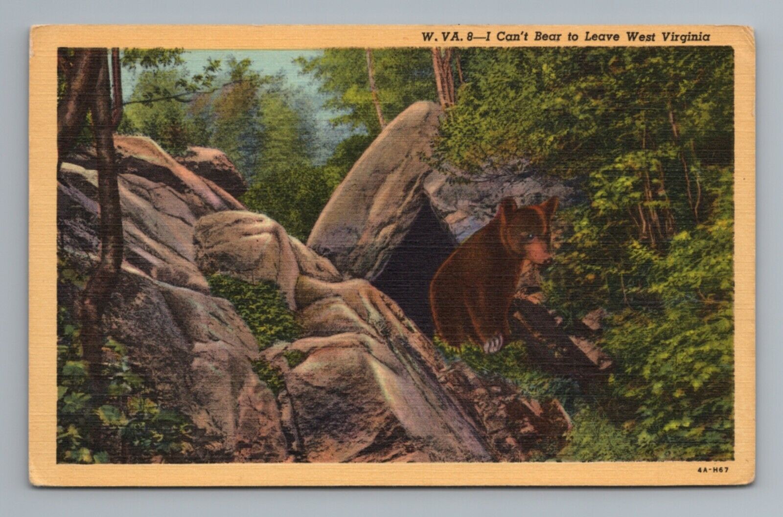 I Can\'t Bear to Leave West Virginia Postcard